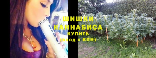 гидра Кулебаки