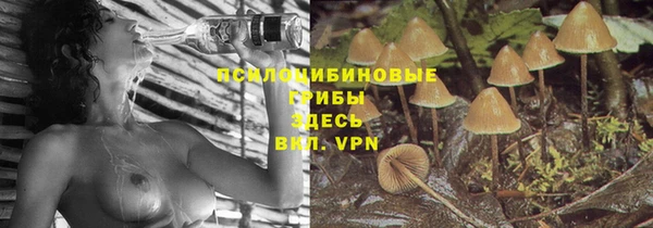 ешки Кукмор