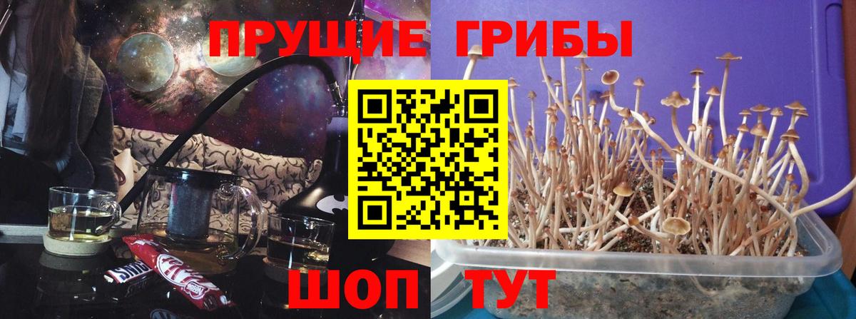 Галлюциногенные грибы Magic Shrooms  Вход с VPN  Мариинск  Псилоцибиновые грибы Magic Shrooms 