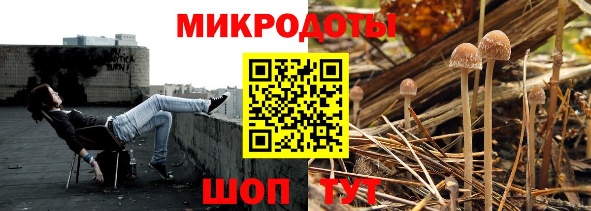 Галлюциногенные грибы Psilocybine cubensis Мариинск