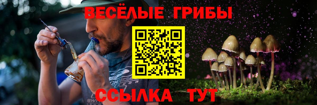 Псилоцибиновые грибы Psilocybe  Псилоцибиновые грибы Psilocybe  Мариинск 