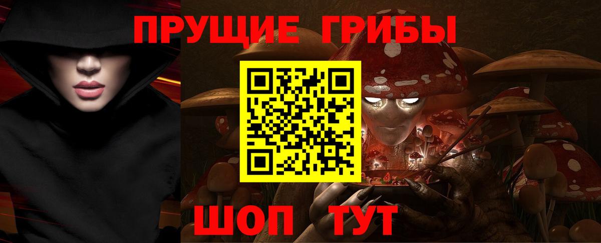 Галлюциногенные грибы прущие грибы Мариинск